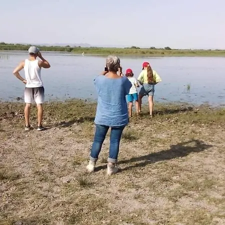 Authentique Roulotte En Camargue Arles