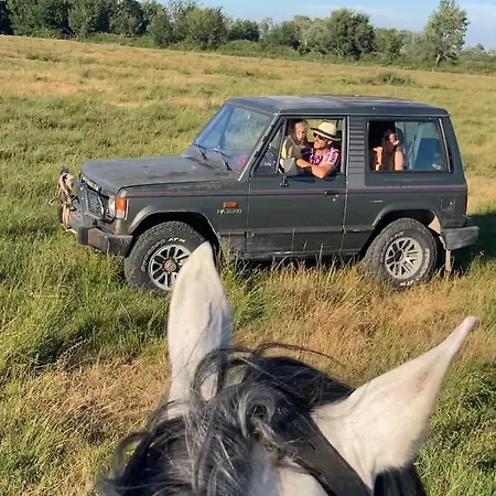 Οργανωμένο κάμπινγκ Authentique Roulotte En Camargue