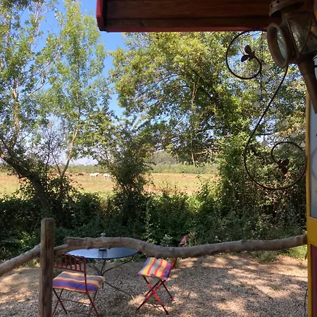 Authentique Roulotte En Camargue Οργανωμένο κάμπινγκ Αρλ